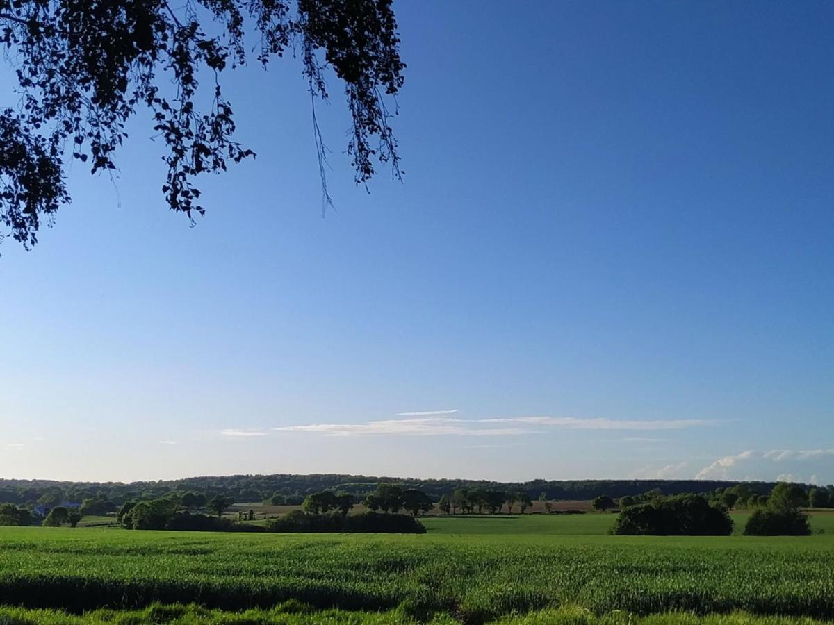 Gite De La Breneliere Ciriere Exteriör bild